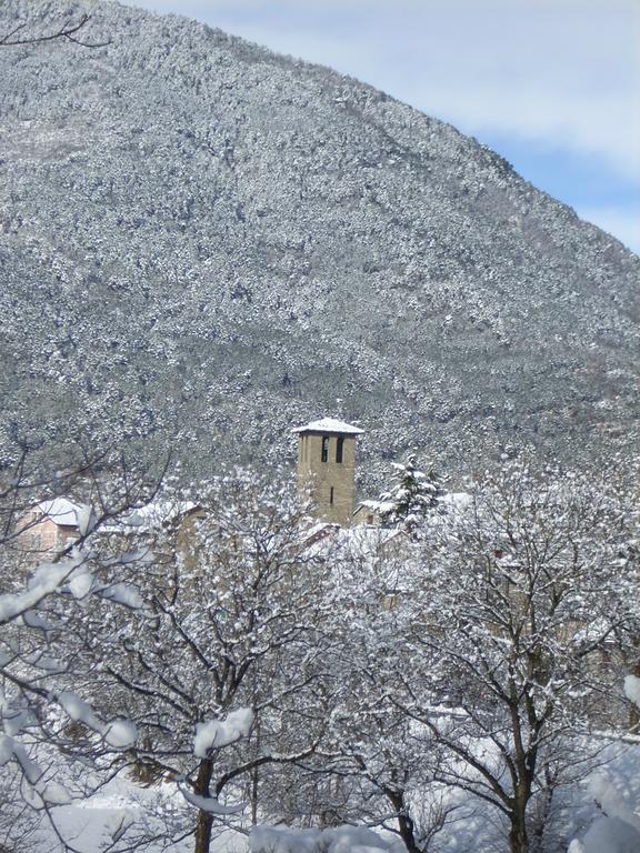 Hotel Vina Olivan Sarvisé エクステリア 写真