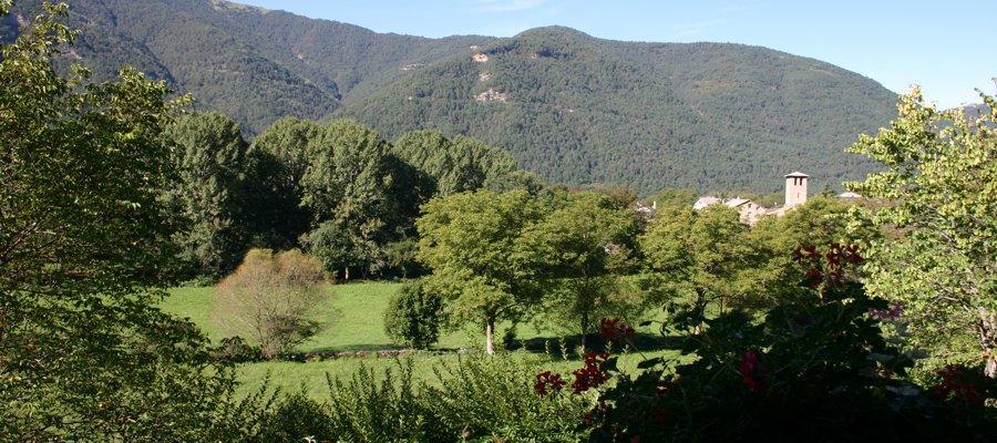 Hotel Vina Olivan Sarvisé エクステリア 写真