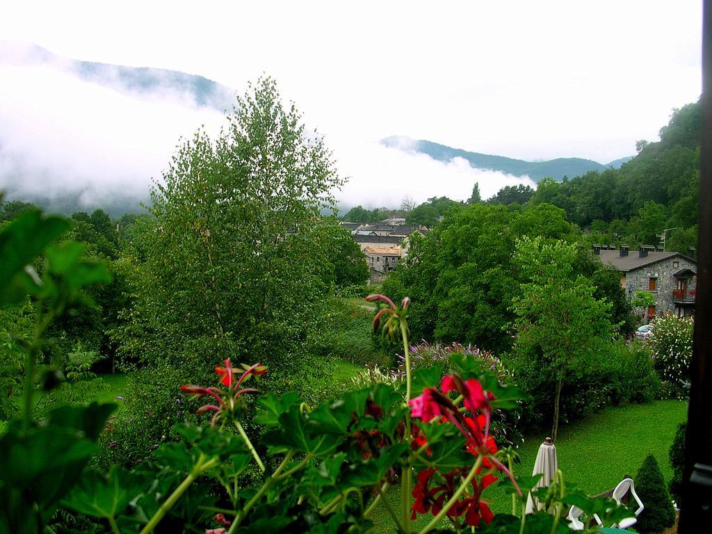 Hotel Vina Olivan Sarvisé 部屋 写真