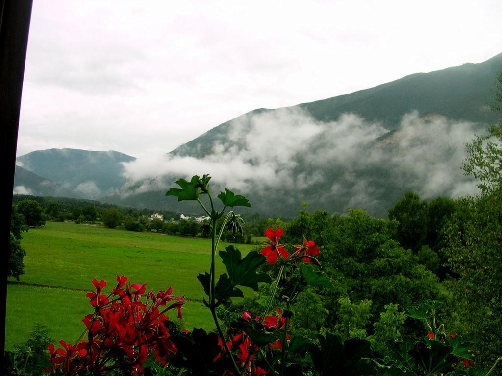 Hotel Vina Olivan Sarvisé 部屋 写真